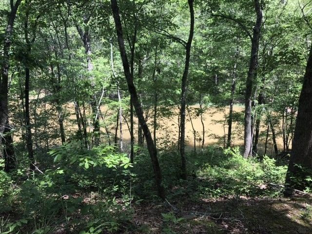 0 Mandy Drive, Wedowee, AL 36278